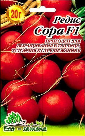 Насіння редис Сора F1, 10 г 681448331 фото