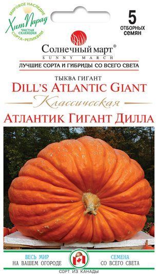 Гарбуз Атлантик Класична Сонячний Март 5 шт. 1572688288 фото