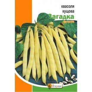 Квасоля зернова Загадка (кущова) Яскрава (20 г.) 1760752079 фото
