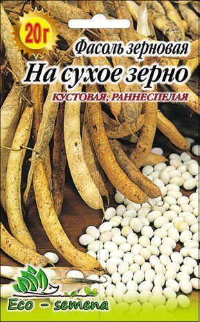 Насіння Квасоля зернова На Сухе зерно 20г 1094910844 фото