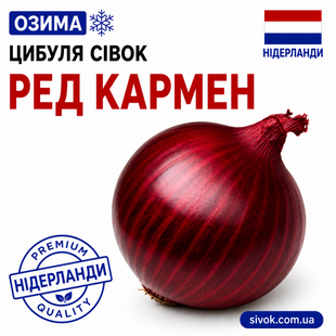 Цибуля сівок озима Ред Кармен (Red Karmen) TOP Onions / Нідерланди 0,5 кг 778616439 фото