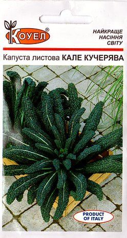 Капуста Кале листова КОУЕЛ 0.5 г. 1891360364 фото