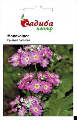 Примула Малакоідес Лососева, Садиба Центр (Фасовка: 0.01 г.) 1714131604 фото