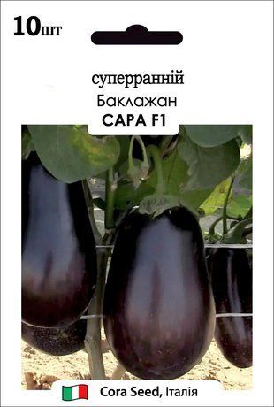 Баклажан Сара F1 Cora Seeds/Італія 10 шт 1312118603 фото