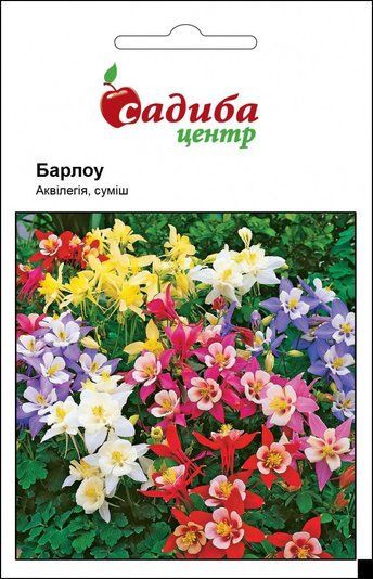 Аквілегія Барлоу Суміш, Садиба Центр (Фасовка: 0.1 г.) 1714136107 фото