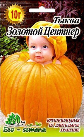 Семена Тыква Золотой Центнер, кормовая, 10 г 906621087 фото