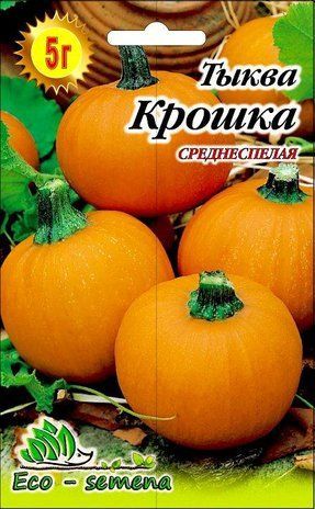 Семена Тыква Крошка 5 г 906621088 фото