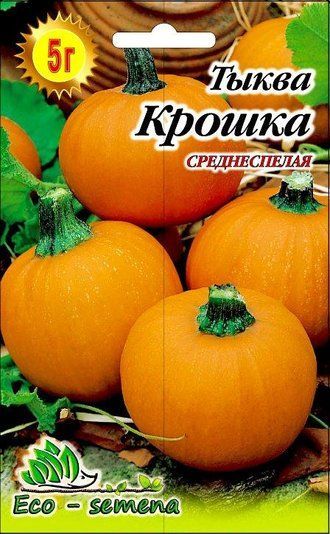 Насіння Гарбуз Крихітка 5 г 906621088 фото
