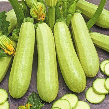 Семена Кабачок кустовой Чаклун Яскрава 20 г 1754350935 фото