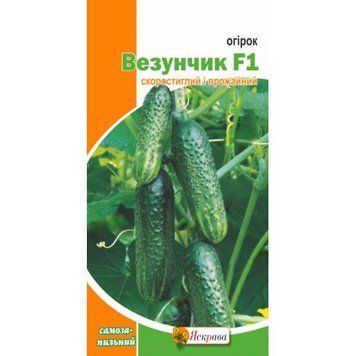 Семена огурца Везунчик F1 Яскрава 0,3 г 1755851238 фото