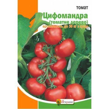 Томат Цифомандра (томатное дерево) Яскрава 2 г 1759832615 фото