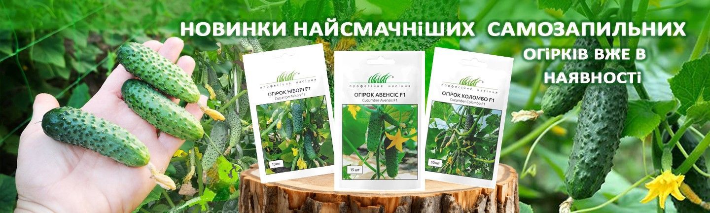 Головна (Лінія 1) Огірок Аскольд