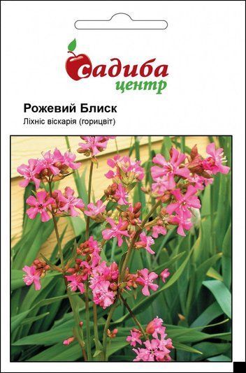 Семена Лихнис Розовый Блеск, Садыба центр (Фасовка: 0.1 г) 1714141795 фото