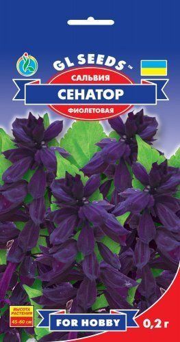 GL Seeds. Насіння Сальвія Сенатор.0.2г 1321222866 фото