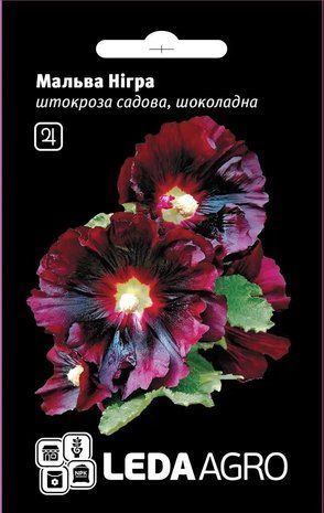 Мальва Нігра чорна багаторічна 0.3 г 1537620554 фото