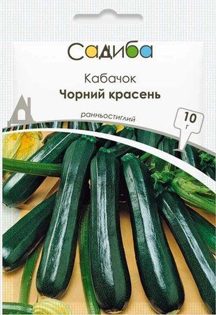 Насіння Кабачок Чорний красень Садиба центр (Фасовка: 10 г) 2257247405 фото