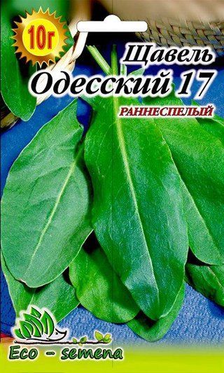 Насіння Щевель Одеський, 5 г 856204984 фото