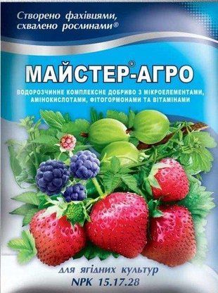 Удобрение Мастер-Агро для ягодных культур (NPK 15.17.28) 100 г 235731 фото