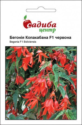 Бегонія Копакабана F1 червона, Садиба центр (5 гранул) 1714142376 фото