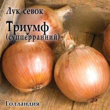 Цибуля сівок весняна Тріумф (Triumf F1) Голландія 1 кг 2495388239 фото