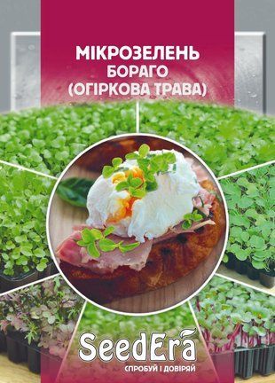 Насіння Мікрозелень Бораго (огіркова трава) Seedera 10 г 2059647721 фото