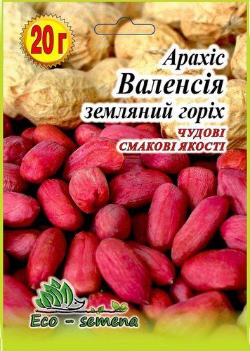 ЗЕМЛЯНИЙ ГОРІХ