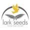 Lark Seeds, Америка