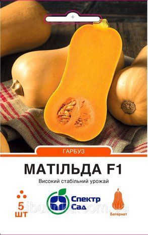Гарбуз столовий Матільда F1 5 шт 111822 фото