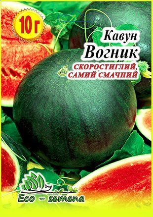 Кавун Вогник 10 г 681447728 фото