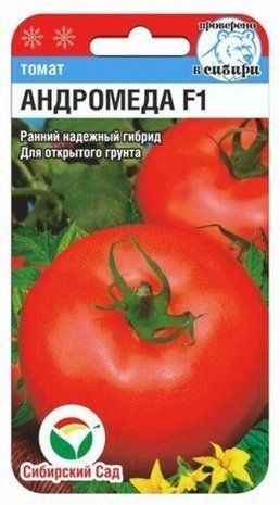Насіння Томат Андромеда F1 (низькорослий) 15 шт 1772159399 фото