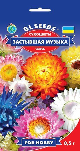 Сухоцвіт Геліхризум Застигле музика (суміш) 0.5 г 1321233143 фото