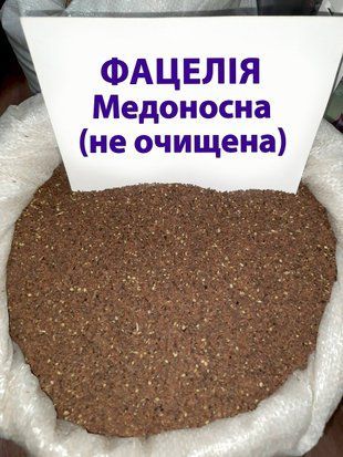 Насіння Фацелія (не очищене), медонос, сидерат, від 1 кг на розліс 1311276879 фото