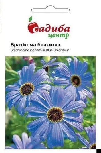 Насіння квітів Брахіка Блакитна Садиба центр 0.1 г 1724052442 фото