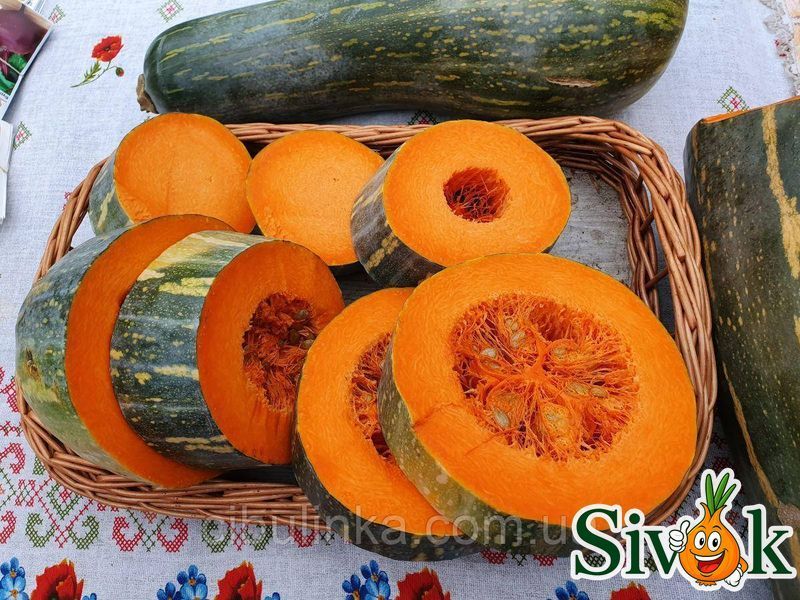 Тыква Лунга Пиена ди Наполи Италия 10 г (zip-paket) 111812 фото