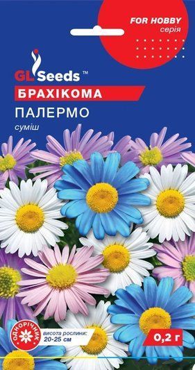 Насіння Брахікома Палермо GL Seeds (Фасовка: 0.2 г) 1709498891 фото