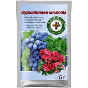 Стимулятор росту Бурштинова кислота (янтарна кислота) 5 г 1260619877 фото