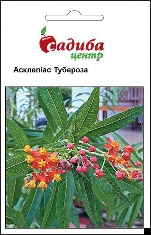 Асклепіас Тубероза Садиба Центр 0,1 г 1724065115 фото