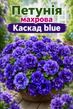 Петунія махрова Каскад  F1 синя Pan American/США 10 шт 2496689 фото