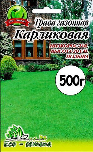 Насіння Газонне Трава Карликова, 500 г (на розвіс) 681448412 фото