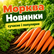 МОРКВА НОВИНКИ