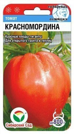 Насіння Томат Красномордіна (високорослий) 20 шт 1772187297 фото
