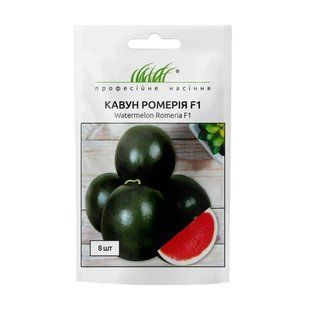 Арбуз Ромерия F1 (10-12 кг) United Genetics/Италия 8 шт 1288666554 фото