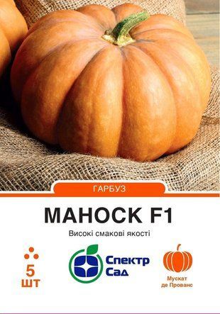 Гарбуз столовий Маноск F1 Enza Zaden/Нідерланди 5 шт 1312425525 фото