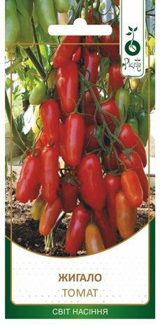 Насіння Томат Жигало Plante (Фасовка: 0,1 г) 1752159191 фото