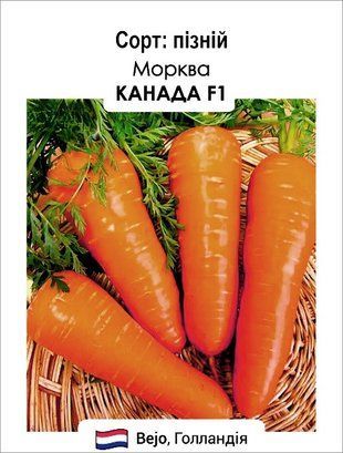 Насіння Томат Великий куш (низькорослий) 20 шт 1772202086 фото