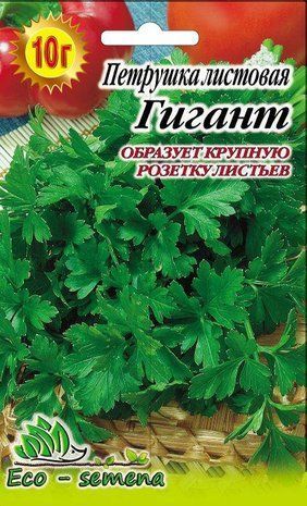 Петрушка листова Гігант 10 г 681448306 фото