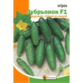 Семена огурец Зубренок F1 Яскрава 5 г 2077874211 фото