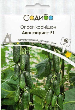 Огурец Авантюрист F1 Satimex/Германия 50 шт 1713157198 фото