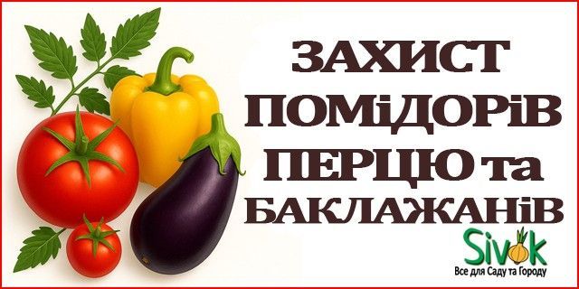 Головна Баннер 3-й (640*320)-1 (Захист Помідорів, Перцю та Баклажанів)