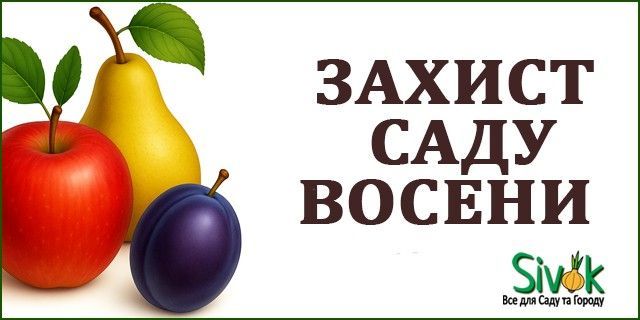Головна Баннер 3-й (640*320)-4 (захист саду восени)